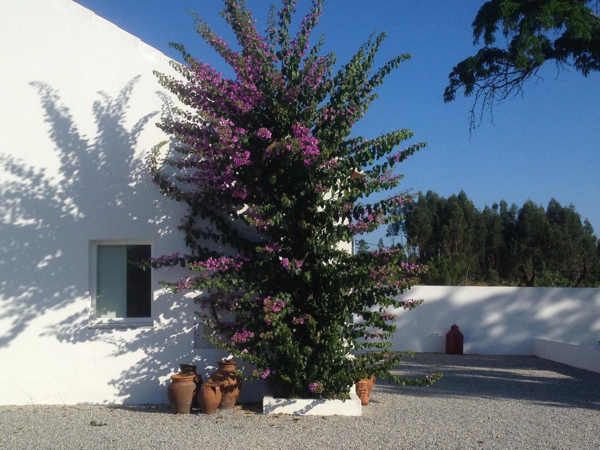 Monte Das Texugueiras - Adults Only Exterior photo